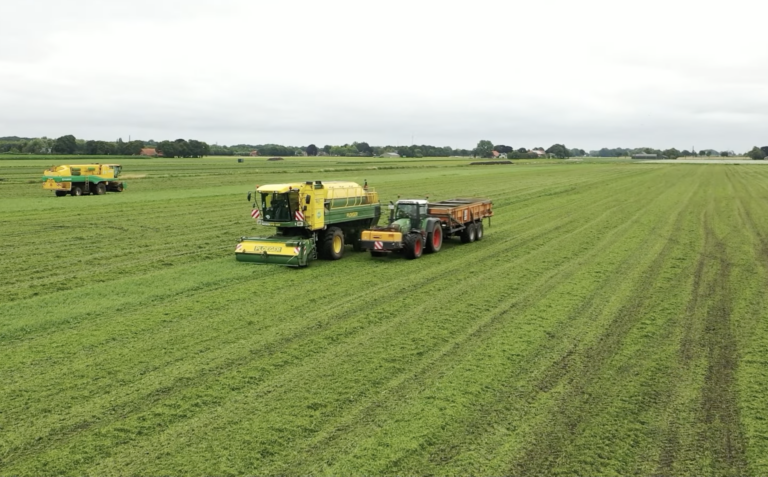 Erwten oogst Rim Vllegen