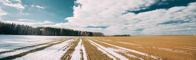 Winterfield